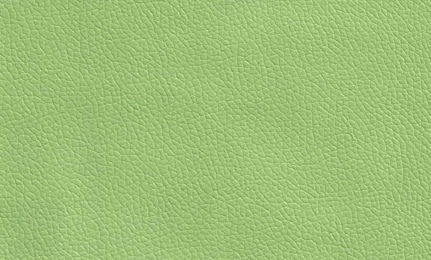 Rexin-PU Leather - Light Green