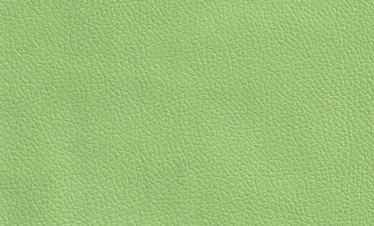 Rexin-PU Leather - Light Green